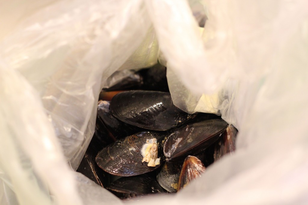 Mussels The Easy Way – Growing Up Savvy